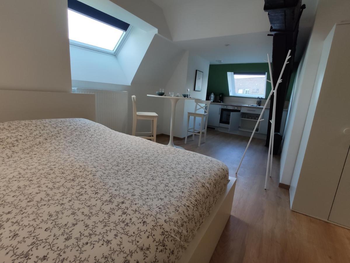 Residence Jehan Froissart Валенсиен Екстериор снимка